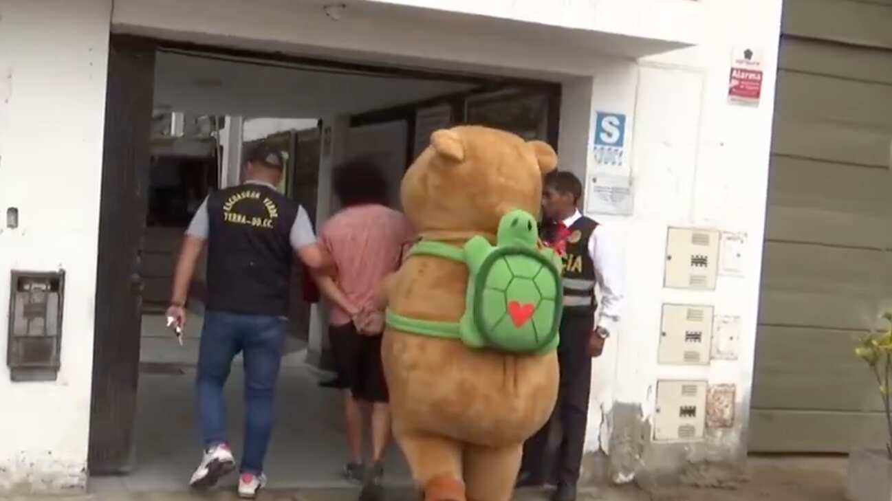 Con un disfraz de capibara, detienen a narcotraficante (VIDEO)