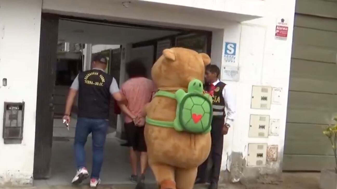 Con un disfraz de capibara, detienen a narcotraficante (VIDEO)