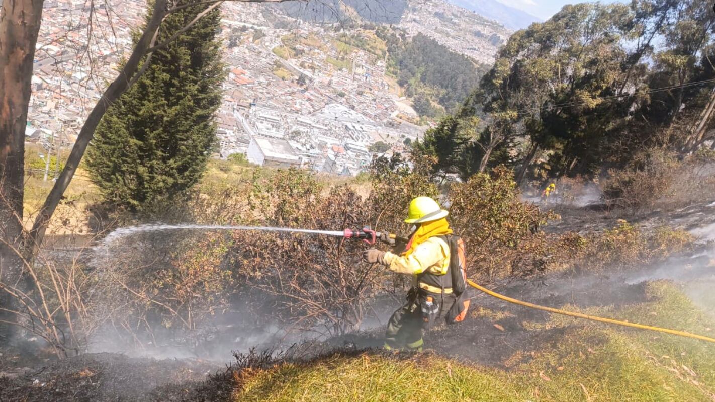 Más de 20.000 animales muertos en unos 2.000 incendios forestales desde enero en Ecuador