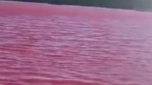 El río Nilo se pintó de rojo