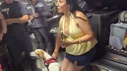 Dejó a su perro por casi 3 horas dentro del maletero de su carro.