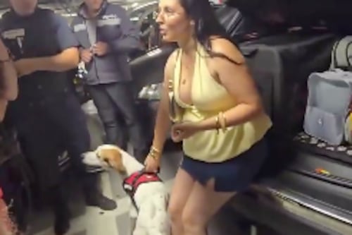 Mujer dejó encerrado a su perro en el maletero de su carro por casi 3 horas a 35 grados centígrados