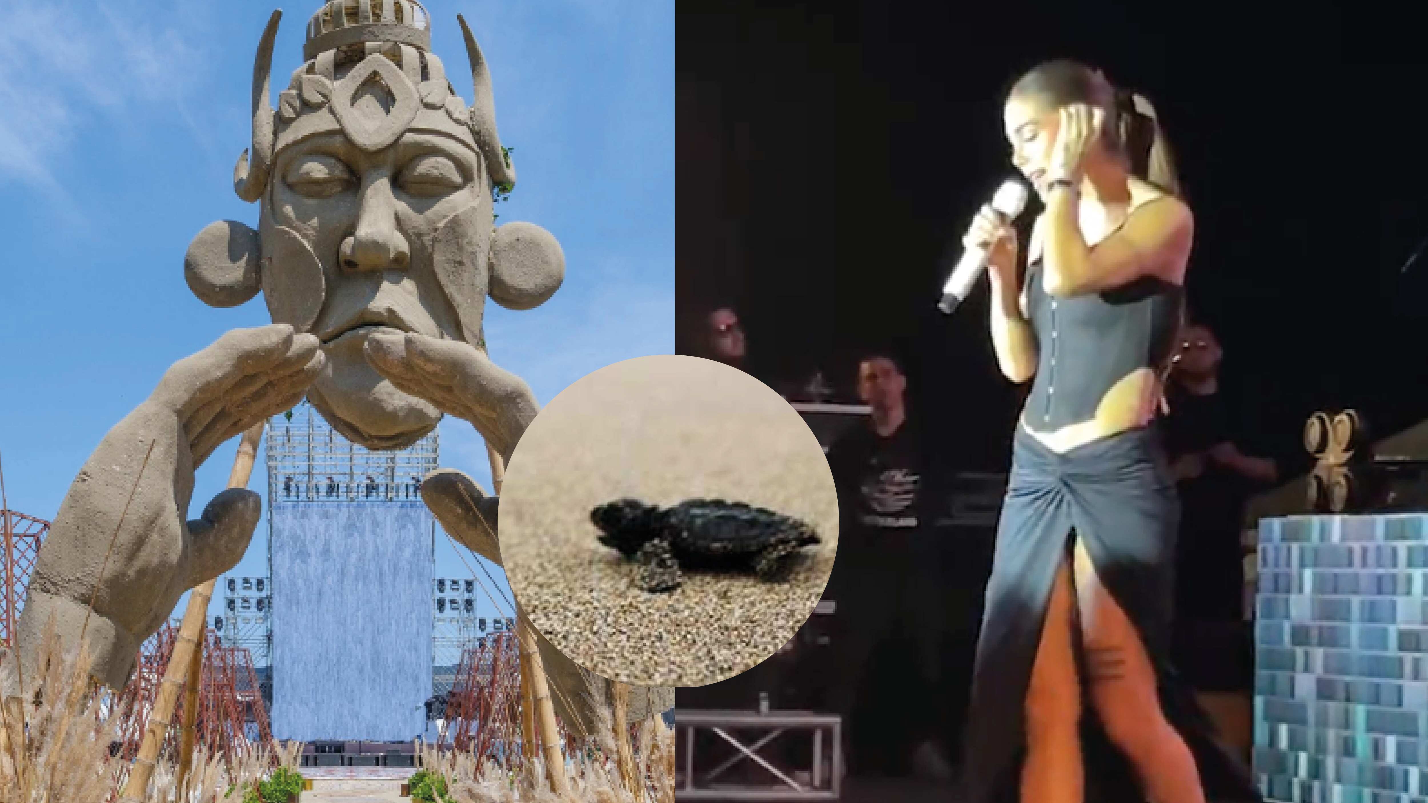 Los artistas internacionales que se presentaron en el evento dentro del área protegida Playas Villamil