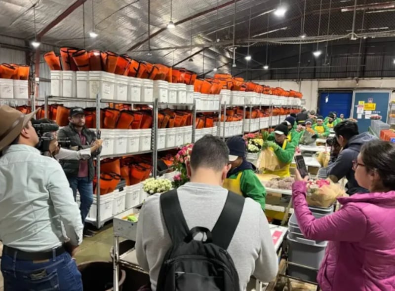 Avianca Cargo alcanza un hito histórico durante la temporada del Día de la Madre 2025