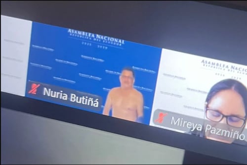 Hombre sin ropa apareció en el zoom de la asambleísta Nuria Butiñá