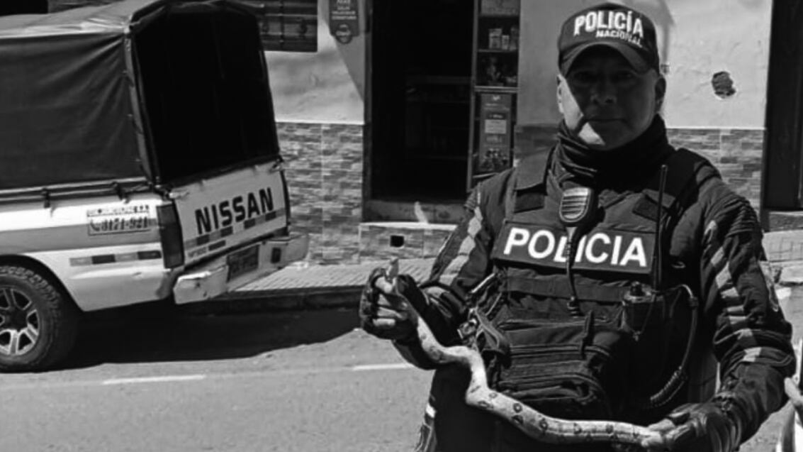 ¿Quién era el sargento segundo que murió tras ser embestido por un bus en Quito?