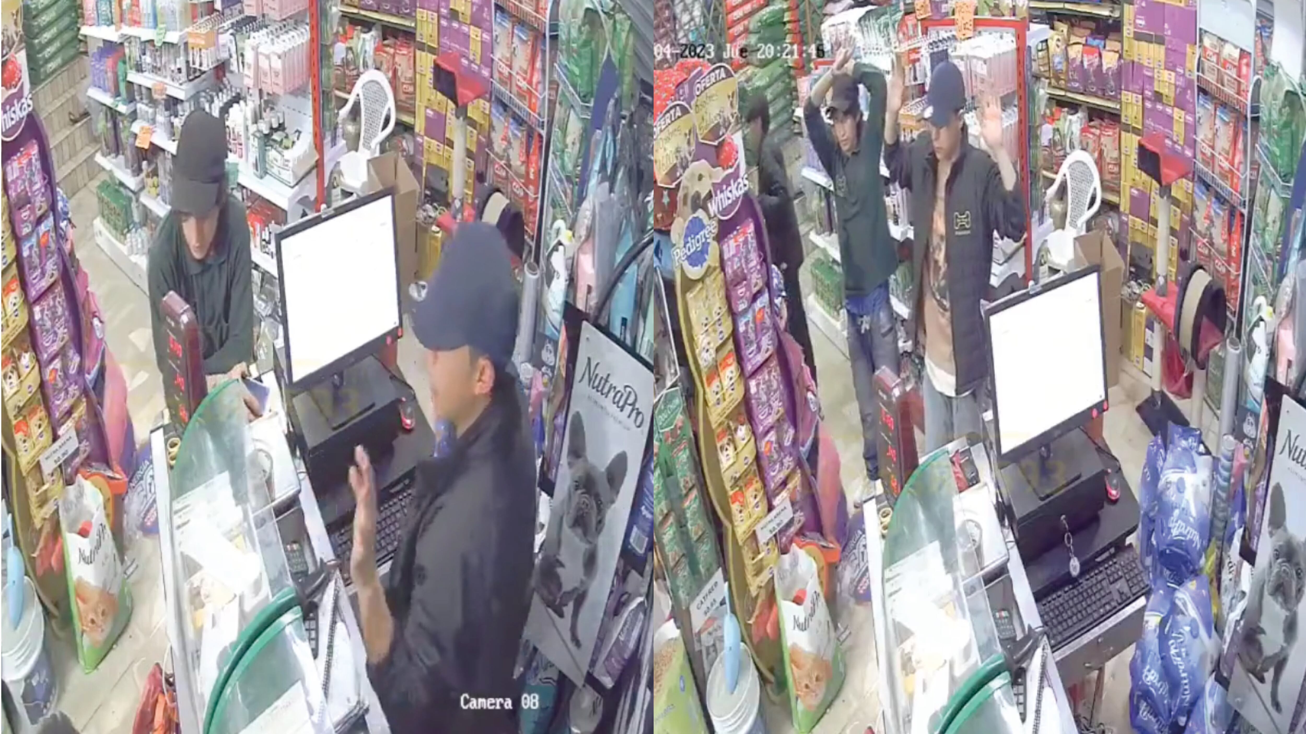 Robo en tienda de mascotas en Conocoto