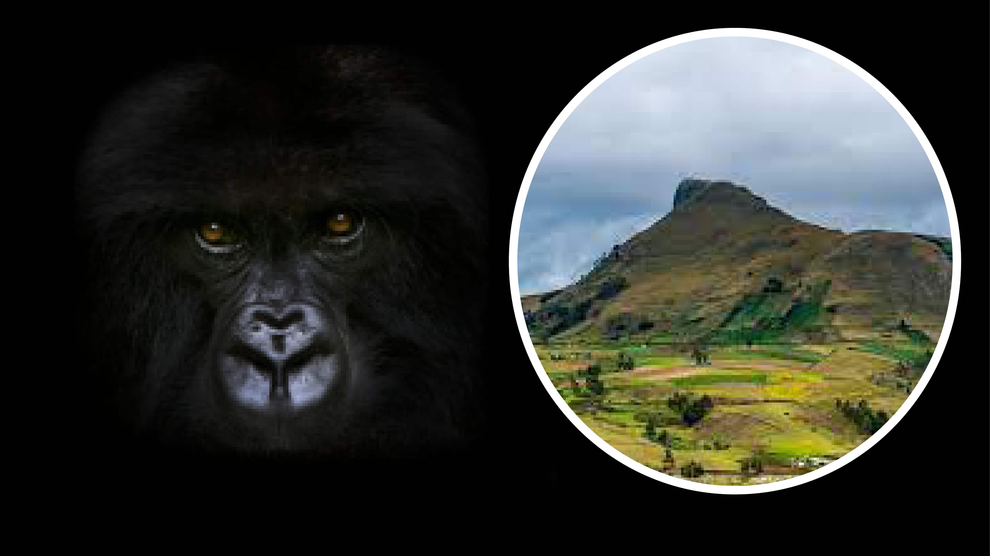 Gigantes escondidos en Ecuador