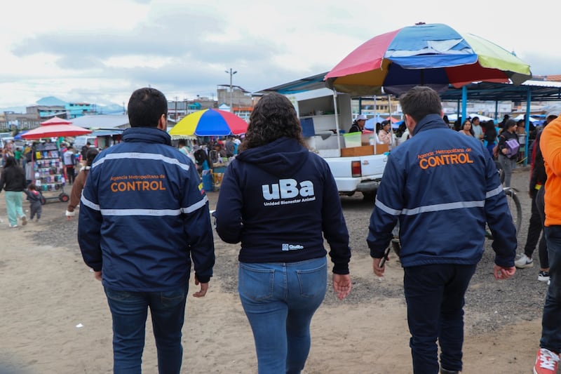 10 cachorros en costales y fundas de basura fueron rescatador en El Quinche