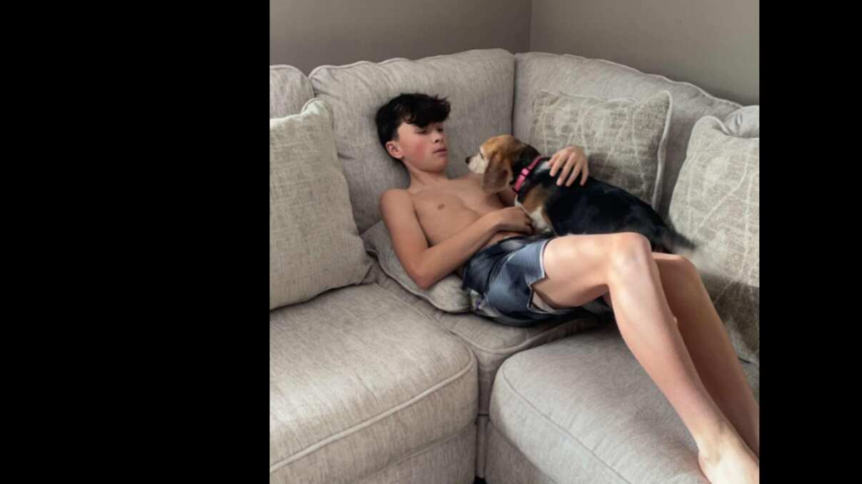 Conmovedor reencuentro: tras ocho años perdido, perro se reúne con su familia