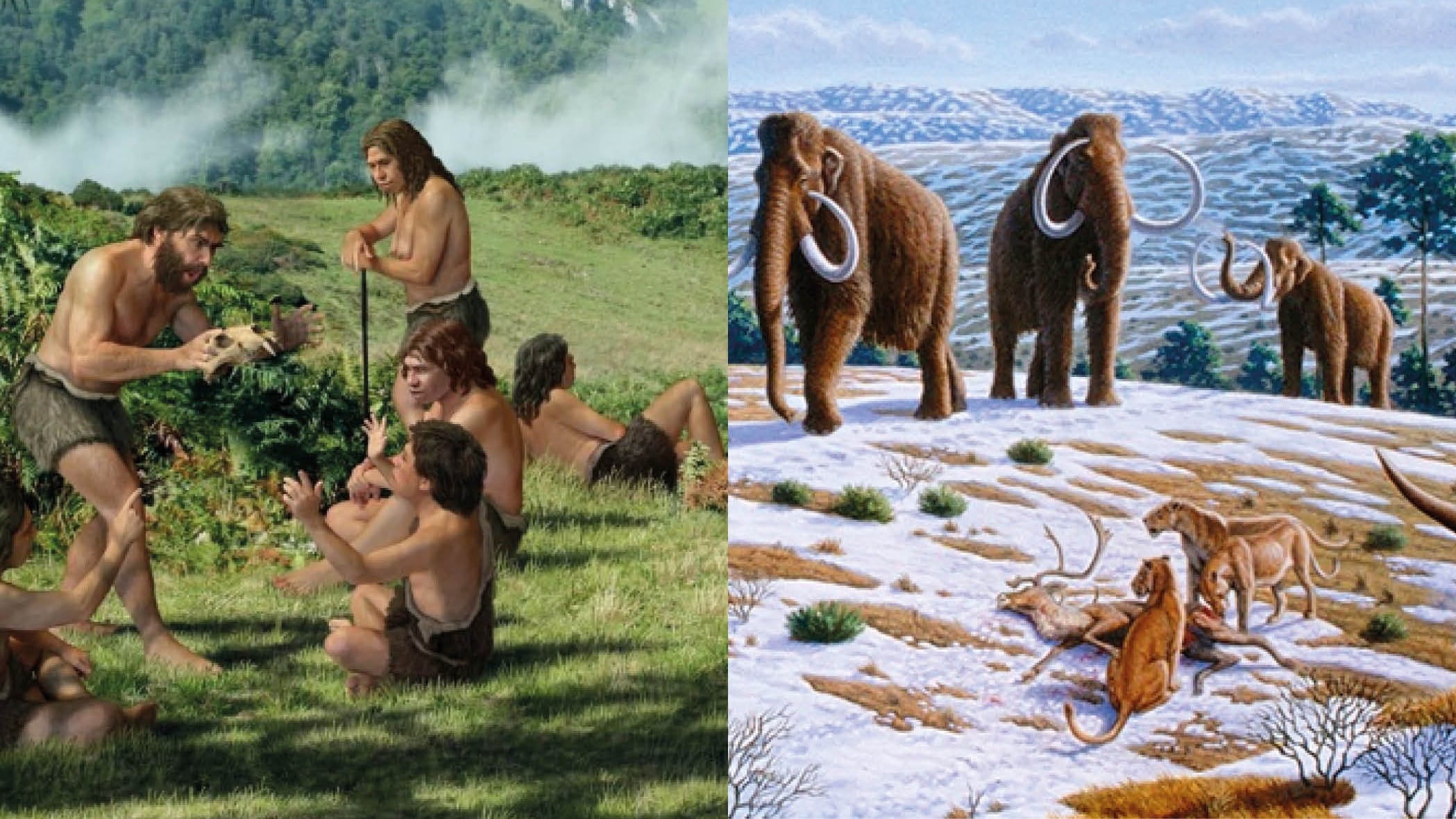 Humanos prehistoria