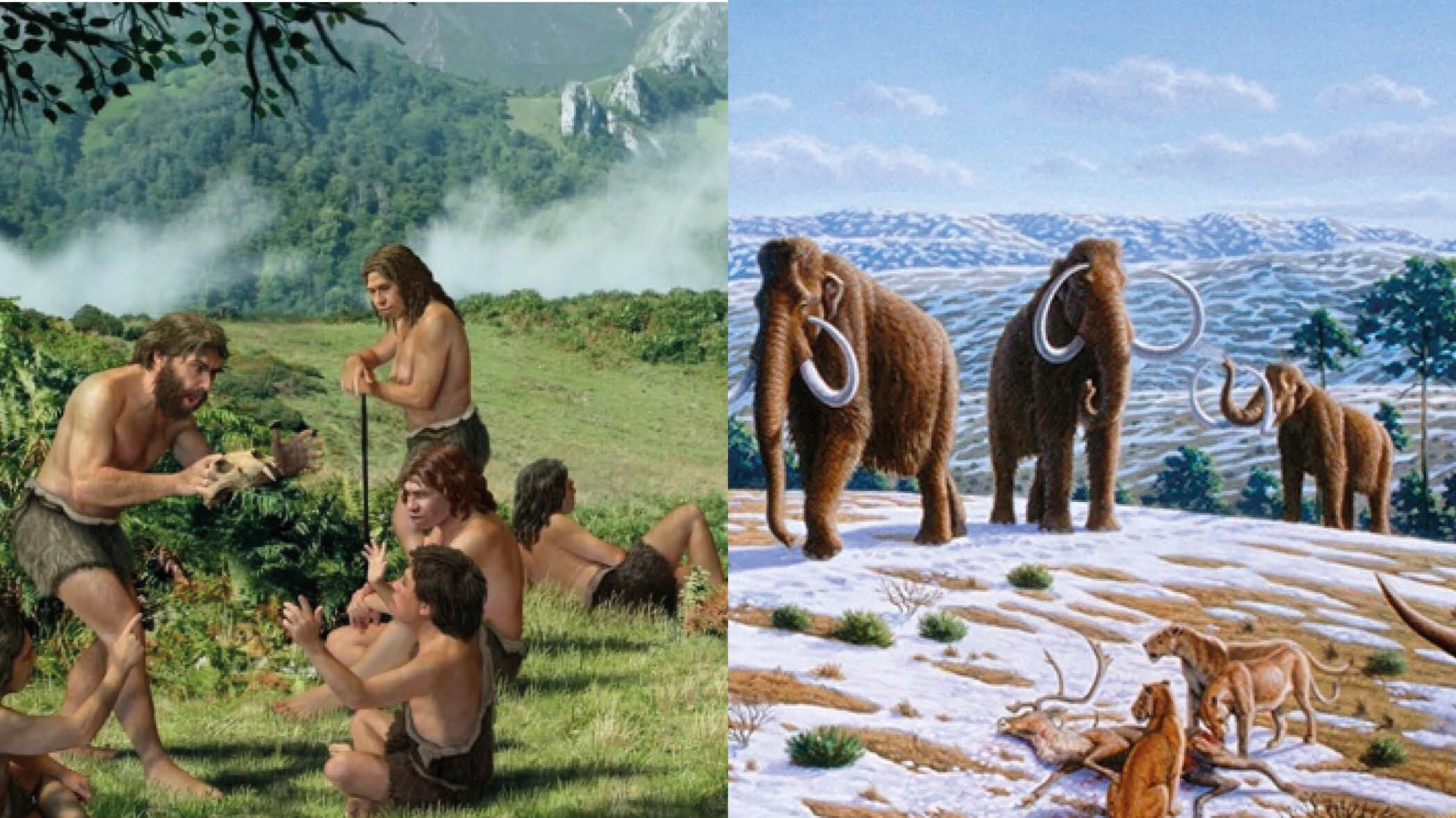 Humanos prehistoria