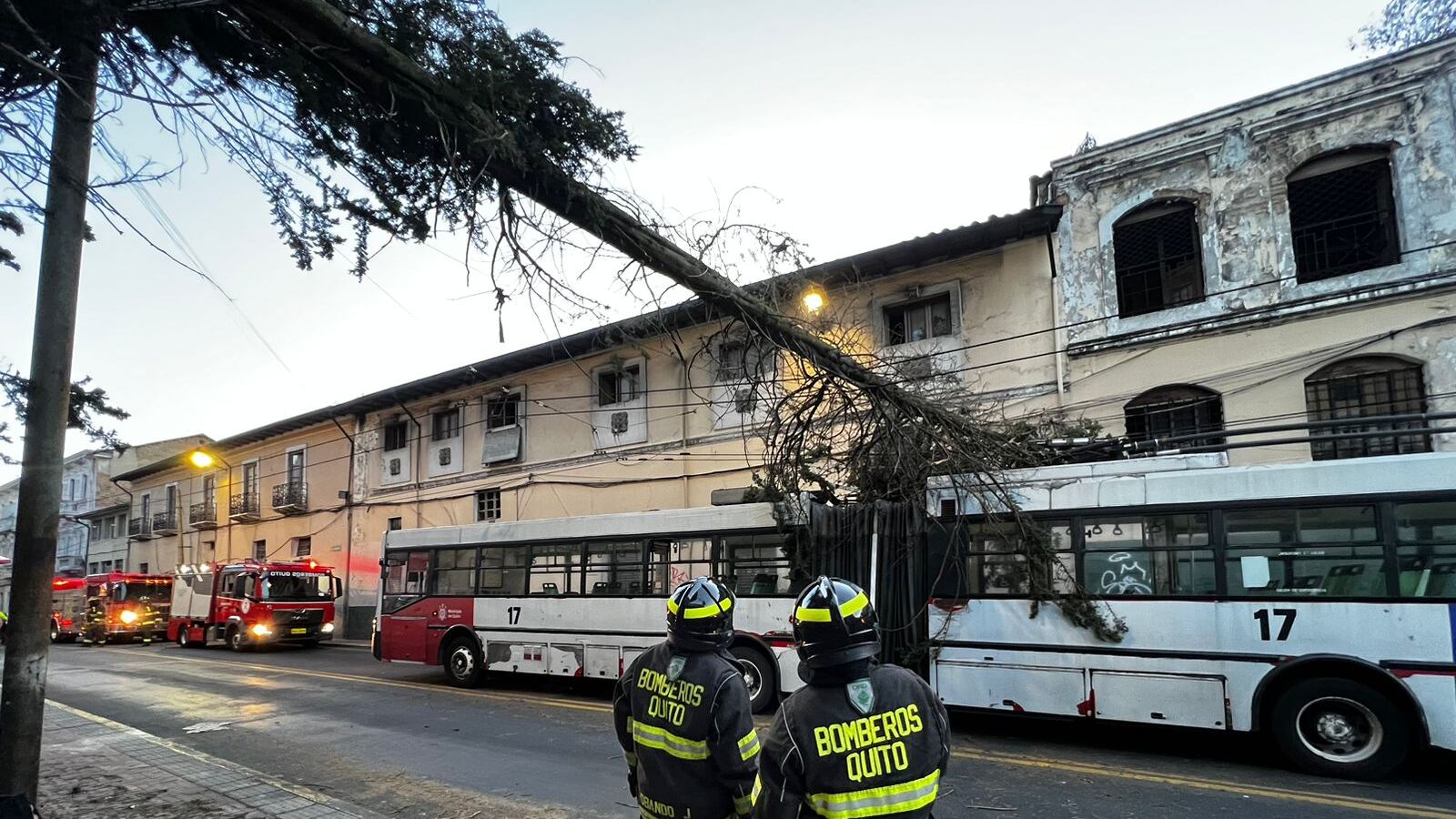 Un árbol cayó sobre una unidad del Trolebús en el sur de Quito