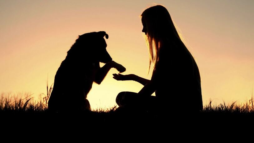 Perdida de una mascota