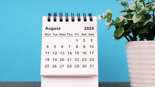 La Teoría de Agosto.