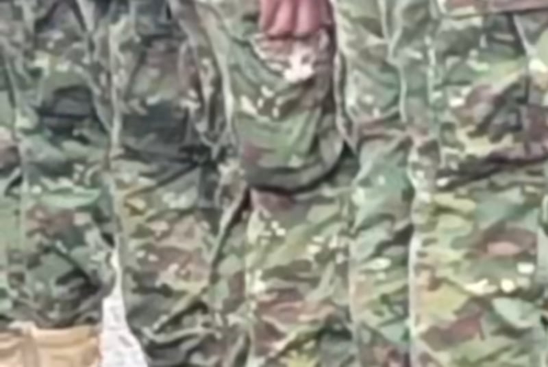 Soldado llevaba a su pequeña mascota en el bolsillo