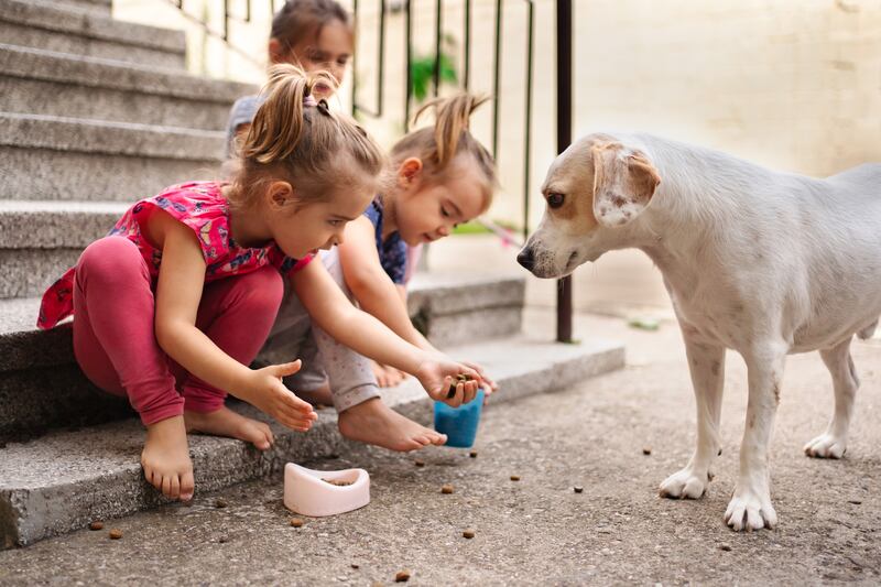 Niños con perros