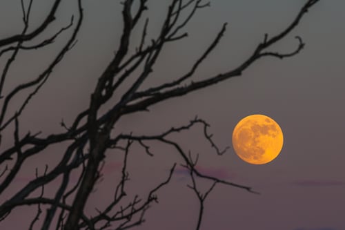 Luna de Gusano y eclipse total de Luna: cómo y a qué hora verlo en Ecuador