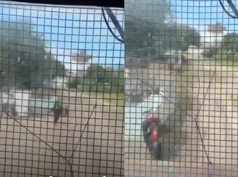 El policía logró rescatar al menor segundos antes de que pasara el tren.