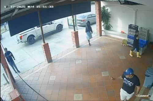 Caso Mario Pineida: ¿quién habría sido el objetivo de los sicarios?