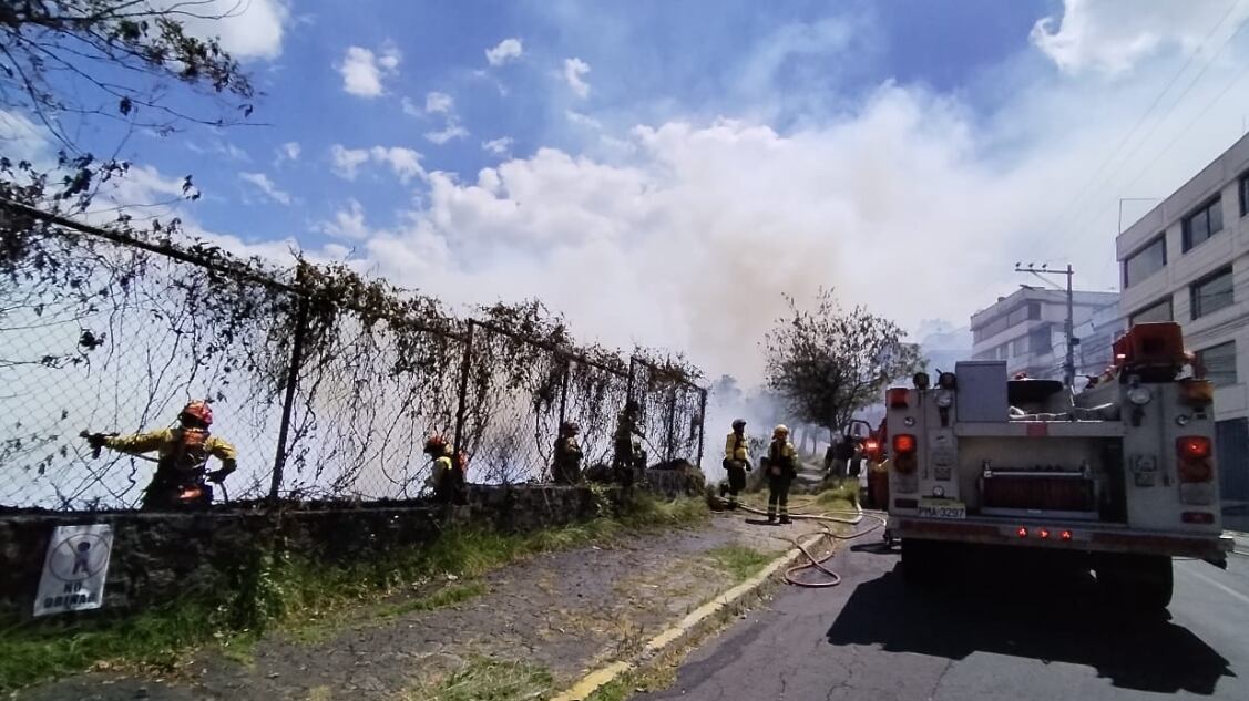 Incendio forestal en el sector del Itchimbía.
