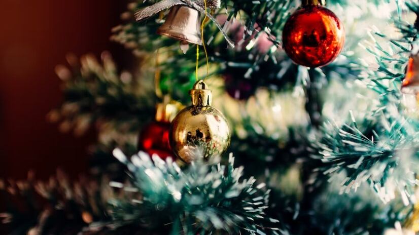 La Navidad es una época de dulzura y buenos sentimientos