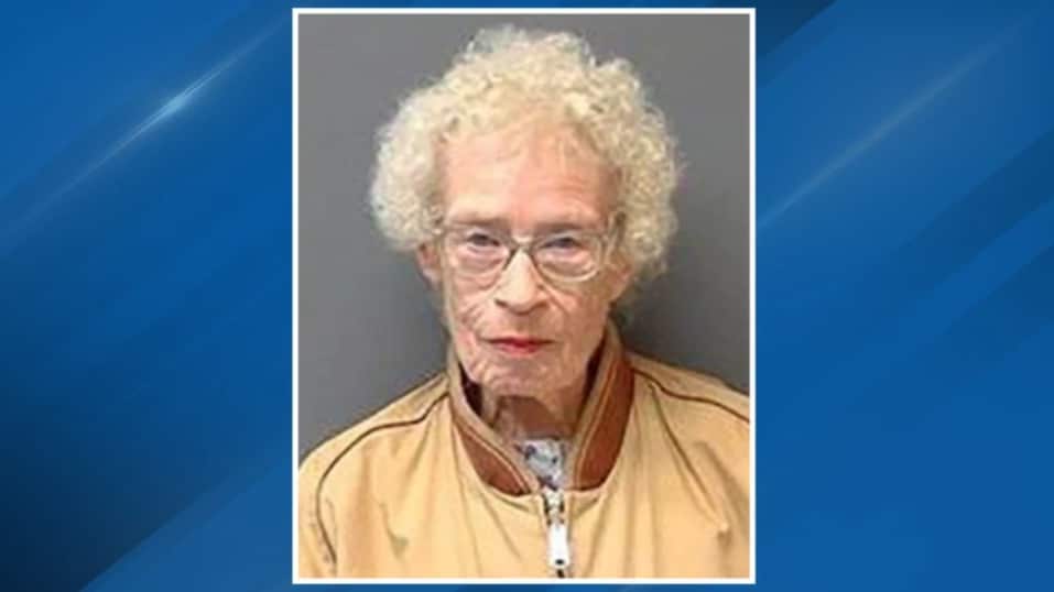 Mujer de 89 años atropella a niña de 9 años y se da a la fuga en un paso de peatones en EE. UU