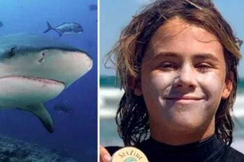 Joven promesa del surf muere por ataque de tiburón en Australia, su cuerpo fue recuperado por la policía