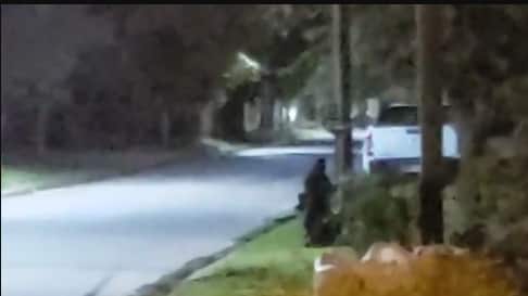 Captan a un supuesto duende en Argentina