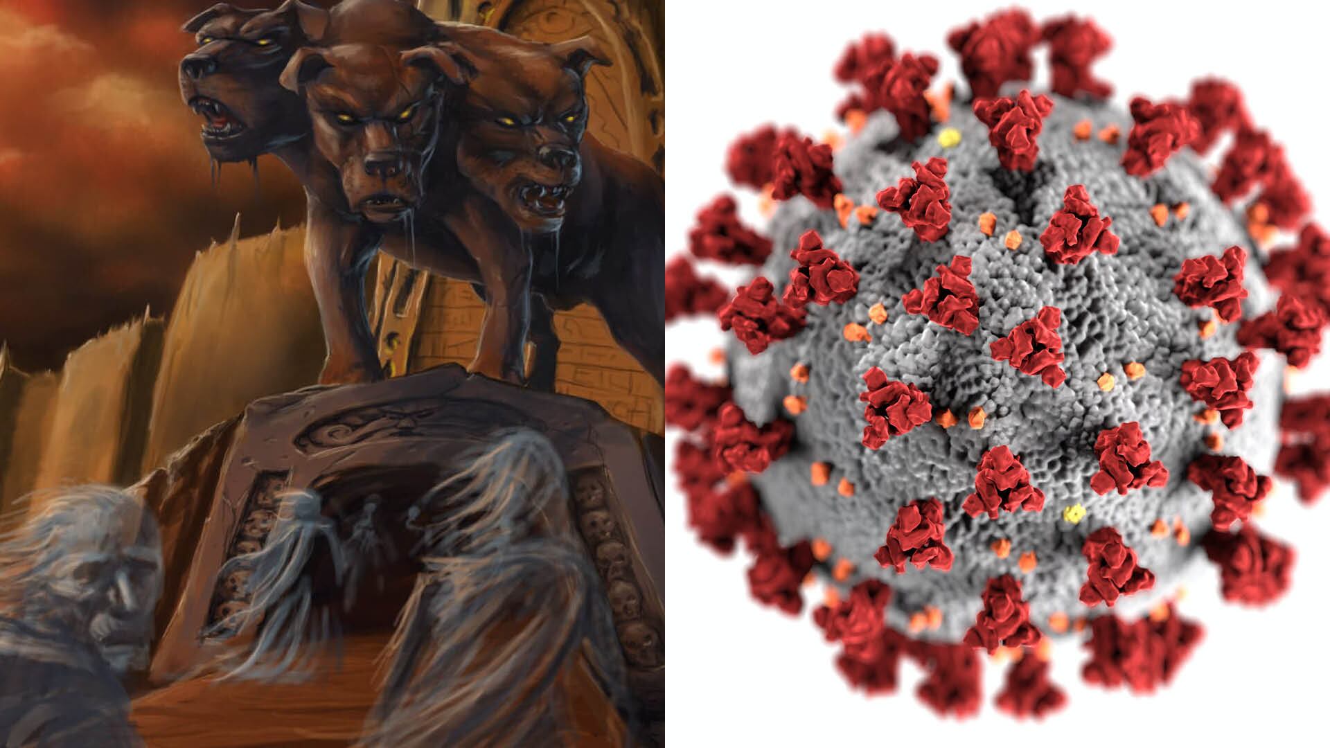 Covid-19 perro del infierno