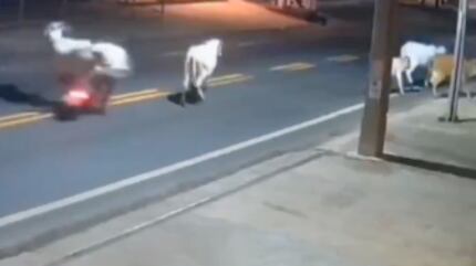 El trágico accidente de Antony Ylano fue captado por cámaras y se viralizó en redes sociales.