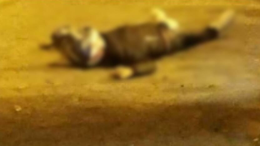 Sicariato en Carapungo