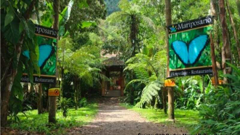 Destinos a los que puedes llegar en bus desde La Marín, La Ofelia y Río Coca