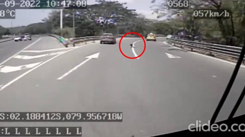 Niña en la Perimetral