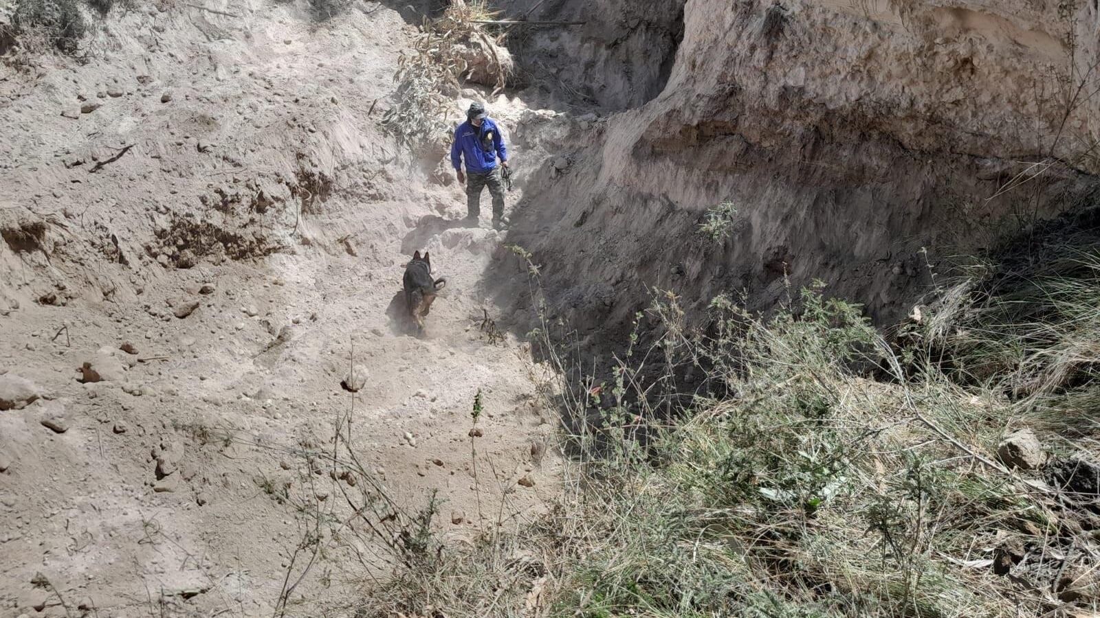 Localizan restos óseos que pertenecerían a Madison A.