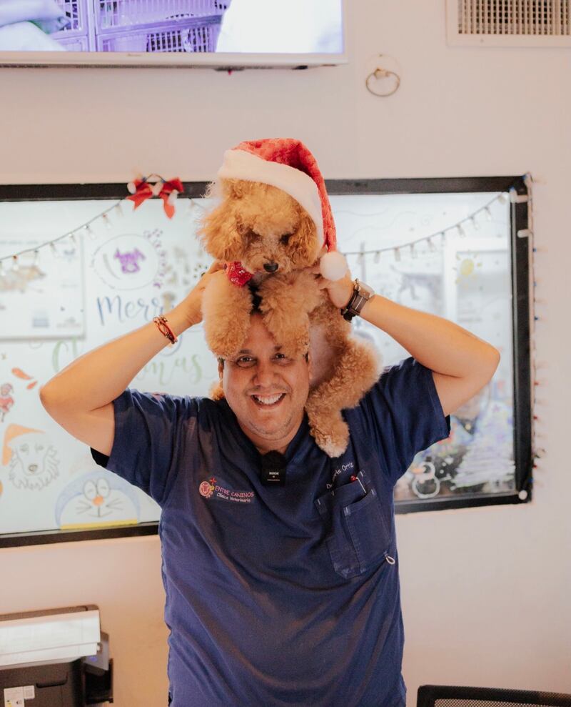 Veterinarios advierten sobre golpes de calor, quemaduras en las patas y riesgos por exposición prolongada al sol.