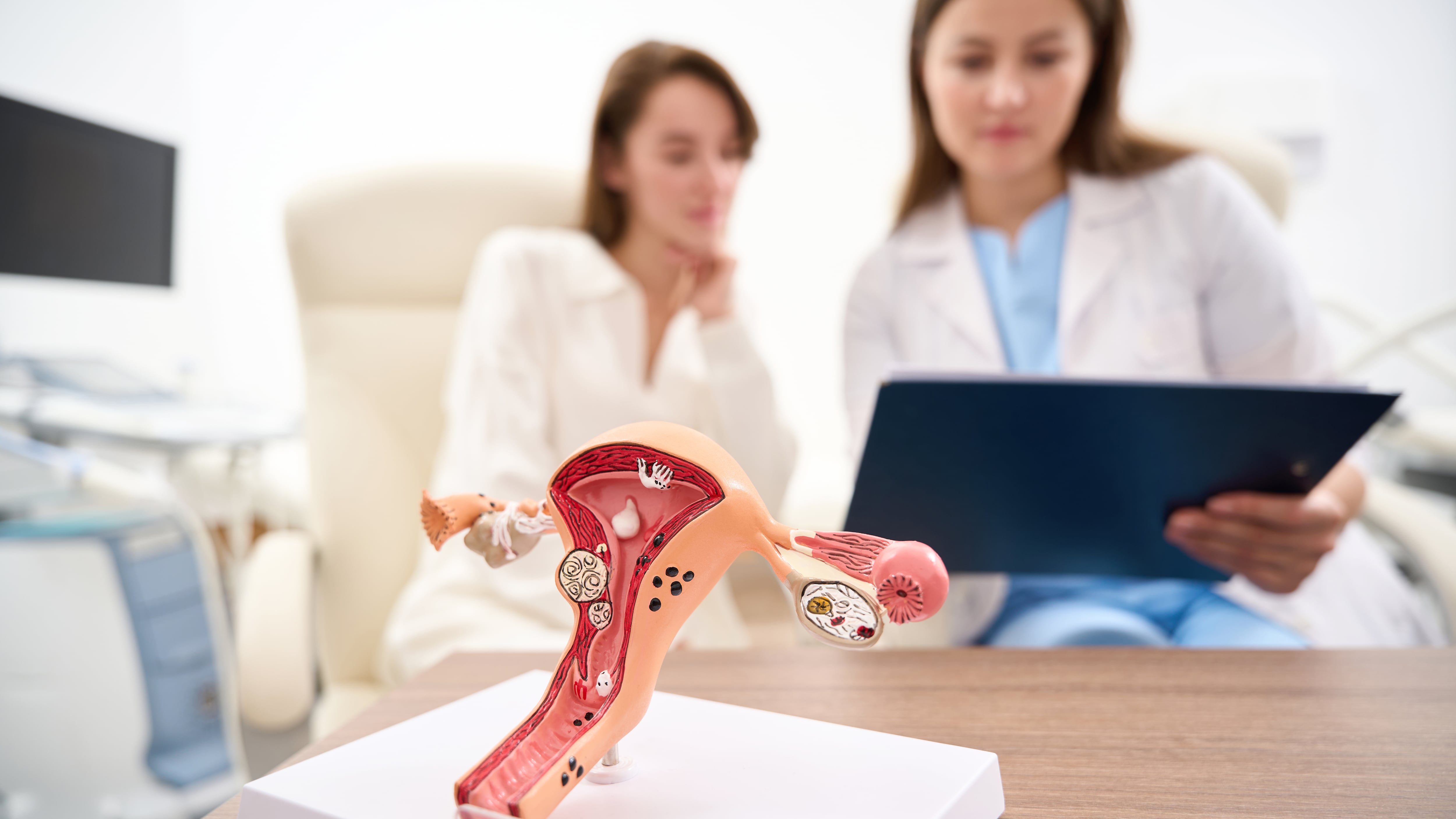 Modelo de útero con un médico borroso que muestra a una paciente los resultados de su examen