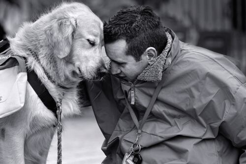 Si tu perrito te sigue a todo lados, esta es una señal de alerta
