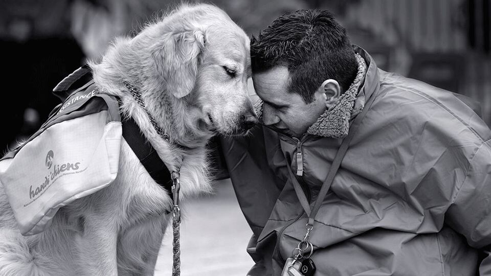 Que te siga a todo lado puede perjudicar a la salud de tu perrito.