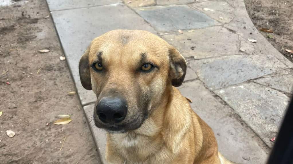 Valentín Foto: Agustina Riveros.