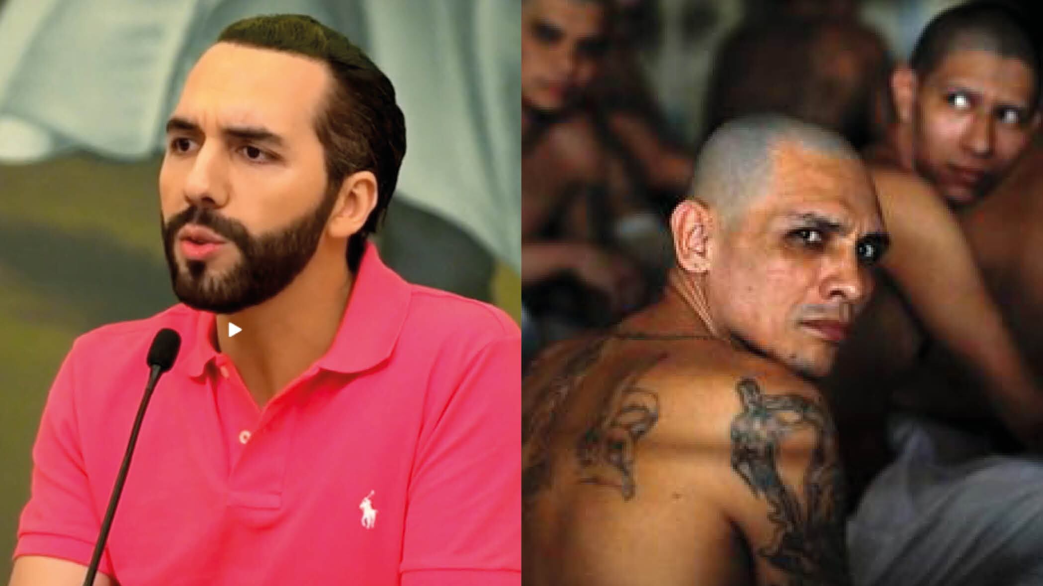 Nayib Bukele