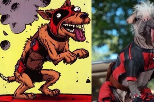 La versión más peluda de Deadpool: Conoce Dogpool
