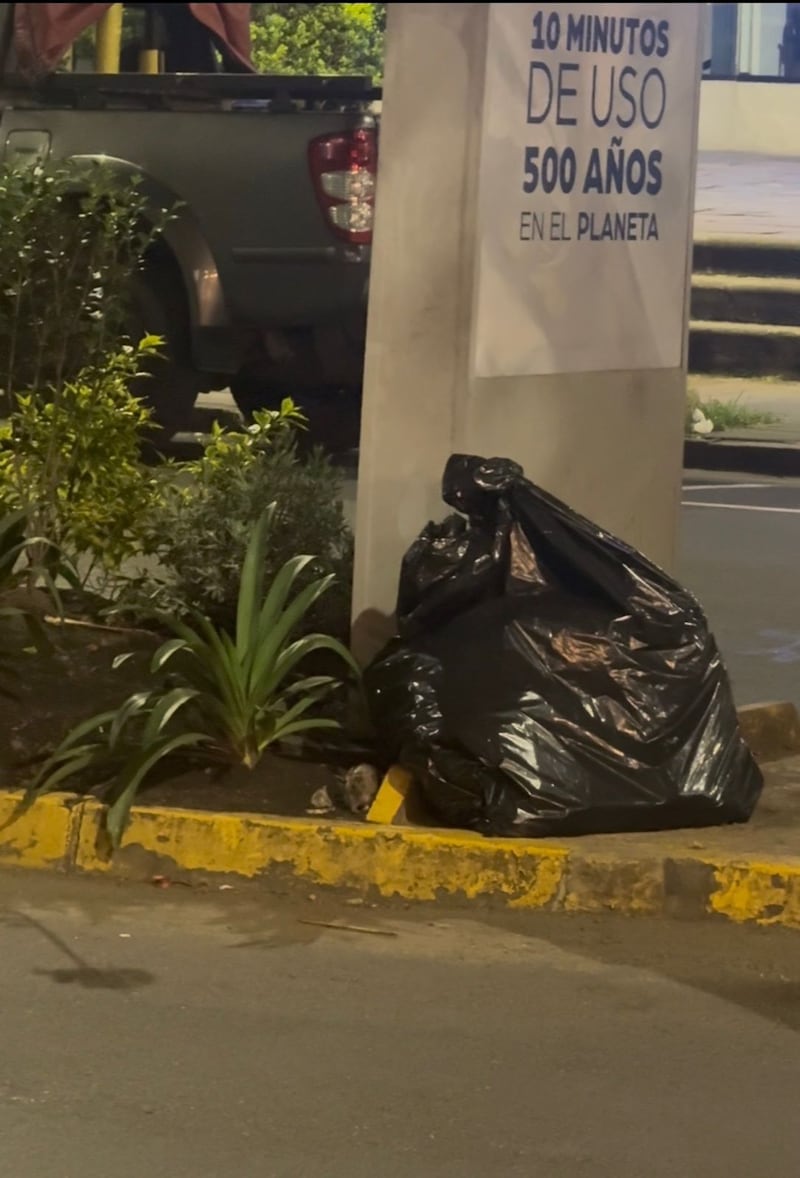 Infestación de ratas en la República del Salvador, Quito