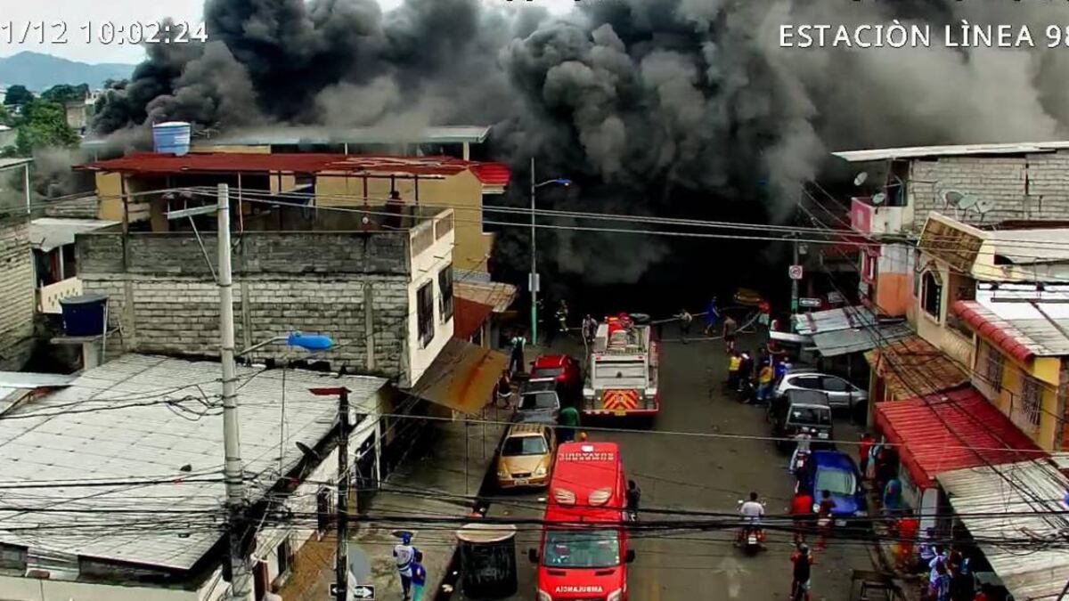 Tres mascotas fueron rescatadas. No se reportan fallecidos