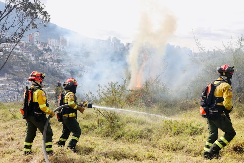 Incendio forestal en el cerro Auqui