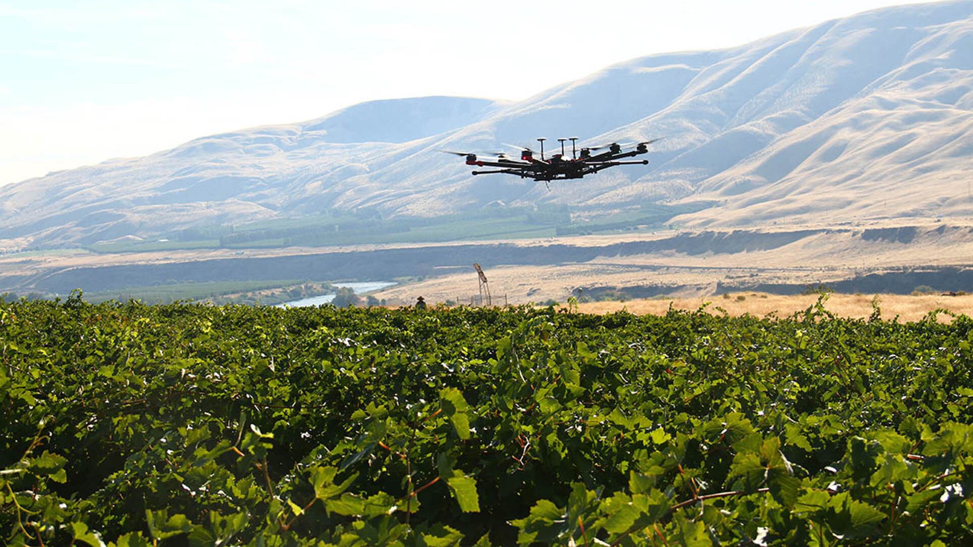 Drones espantapájaros