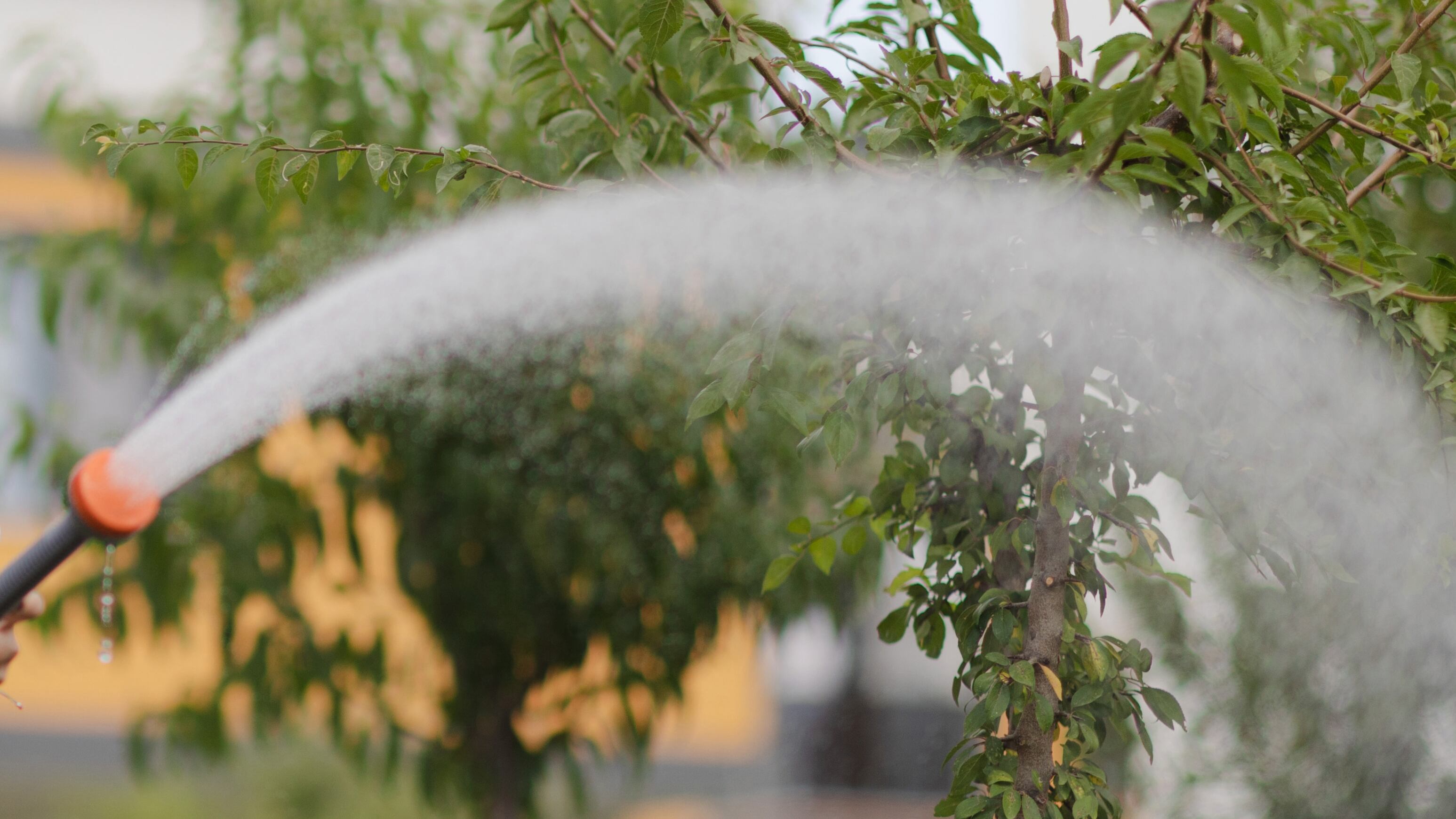 Quito soporta racionamientos de agua potable en algunos barrios debido a la crisis hídrica que atraviesa el país
