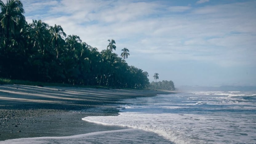 Corredor de Palmeras, Pedernales