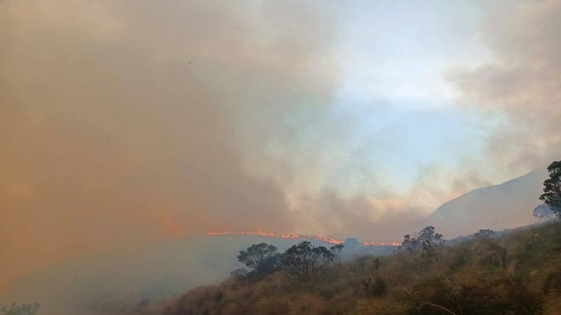 Incendio forestal arrasa 1.000 hectáreas en el Parque Nacional Cotacachi Cayapas