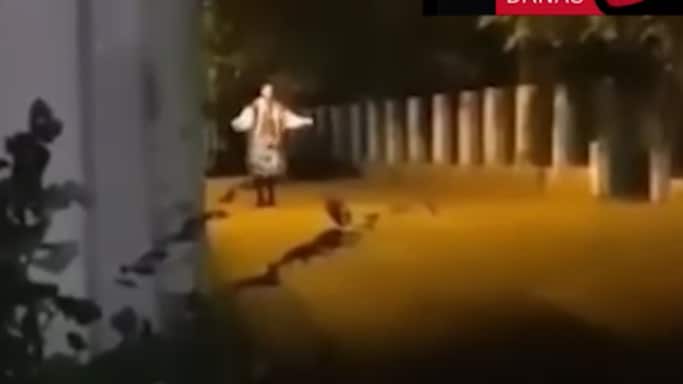 “Dama Bailarina Serbia” o Serbian Dancing Lady